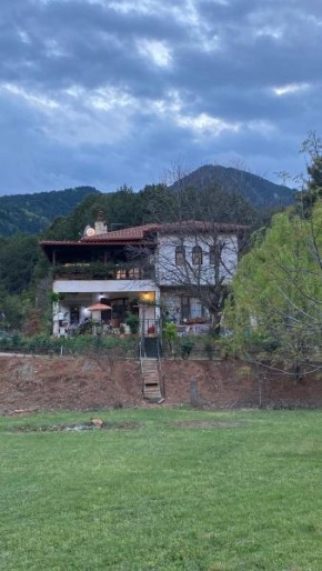 Koti Mountain House